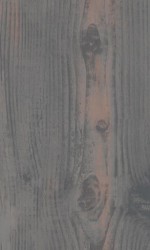 CLAMMY MAPLE