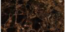 EMPERADOR DARK
