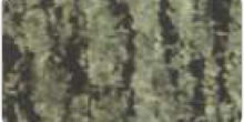 HASSAN GREEN